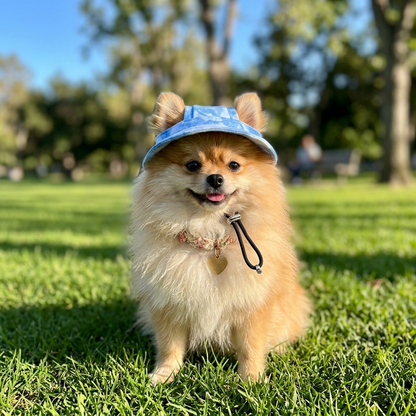 Adjustable Dog Bucket Hat